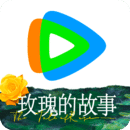 形容女王范的句子